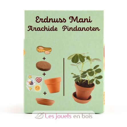 I grow my Peanuts RC-014264 Radis et Capucine 5
