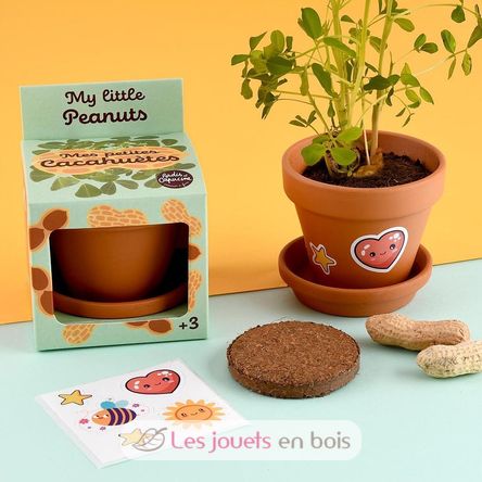 I grow my Peanuts RC-014264 Radis et Capucine 3