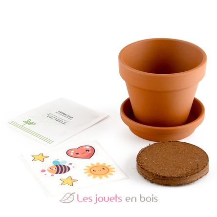 I grow my Flytrap RC-027001 Radis et Capucine 5