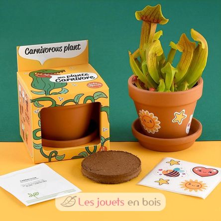 I grow my Flytrap RC-027001 Radis et Capucine 3