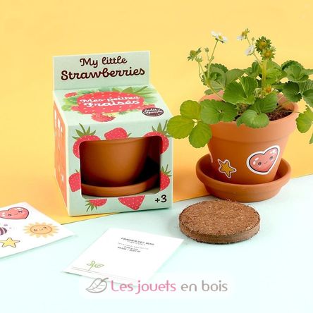 I grow my Strawberry RC-027913 Radis et Capucine 5