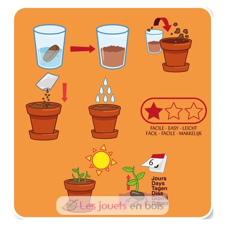 I grow my Beanstalk RC-140967 Radis et Capucine 3