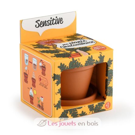 I grow my Mimosa RC-025965 Radis et Capucine 1