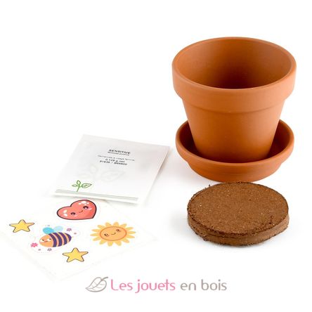 I grow my Mimosa RC-025965 Radis et Capucine 4