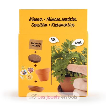 I grow my Mimosa RC-025965 Radis et Capucine 5