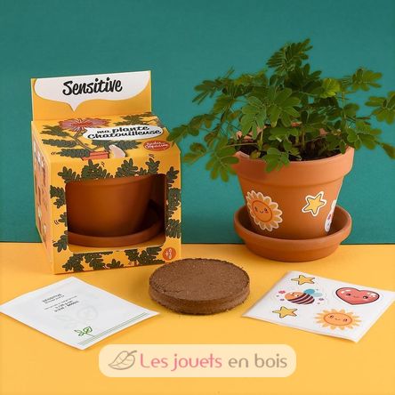 I grow my Mimosa RC-025965 Radis et Capucine 3