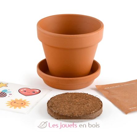 I grow my Dancing Plant RC-028733 Radis et Capucine 4