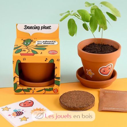 I grow my Dancing Plant RC-028733 Radis et Capucine 3