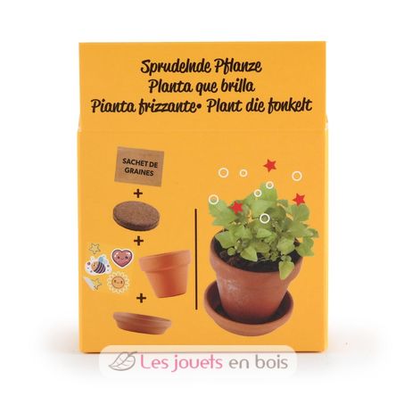 I grow my Bubbling plant RC-029637 Radis et Capucine 4