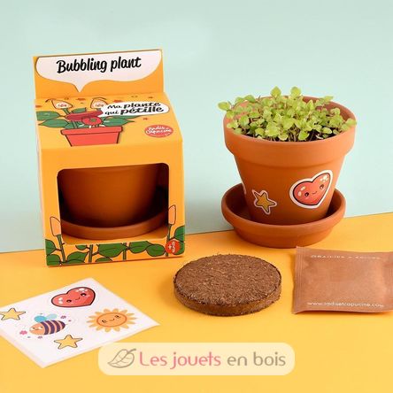 I grow my Bubbling plant RC-029637 Radis et Capucine 2