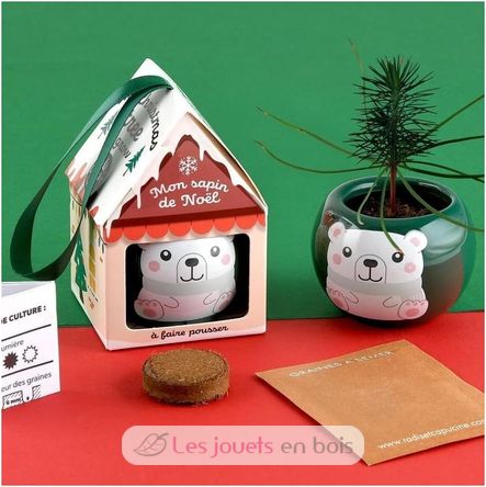 My Christmas tree to grow RC-143304 Radis et Capucine 6