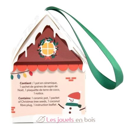 My Christmas tree to grow RC-143304 Radis et Capucine 2