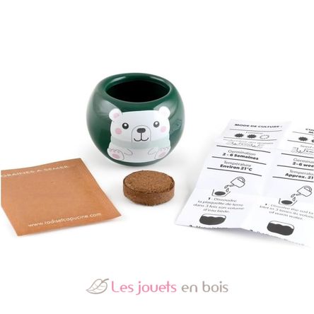 My Christmas tree to grow RC-143304 Radis et Capucine 3