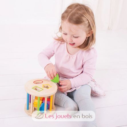 First Rolling Shape Sorter BJ-BB096 Bigjigs Toys 4