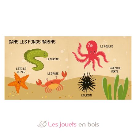Book and Puzzle The sea SJ-313767 Sassi Junior 4
