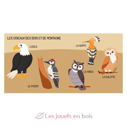 Book and Puzzle Birds SJ-329331 Sassi Junior 5