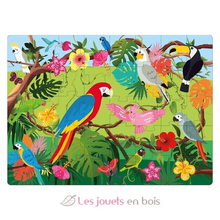 Book and Puzzle Birds SJ-329331 Sassi Junior 6