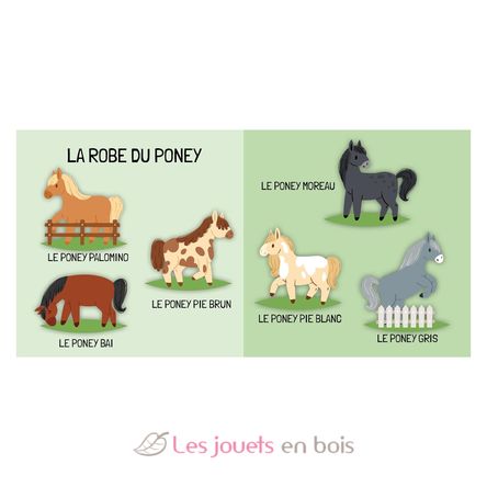Book and Puzzle Ponies SJ-329898 Sassi Junior 4