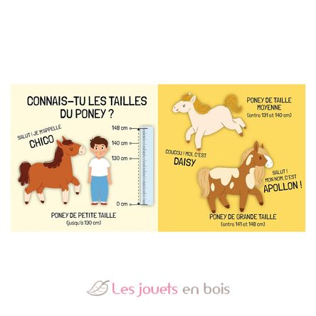 Book and Puzzle Ponies SJ-329898 Sassi Junior 5