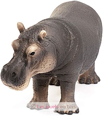 Hippopotamus figure SC-14814 Schleich 3