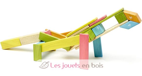 24-Piece Set Tints TG-24P-TNT-306T Tegu 10