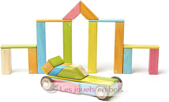 Tegu 42 Piece Set Tints Magnetic Wooden Building Blocks