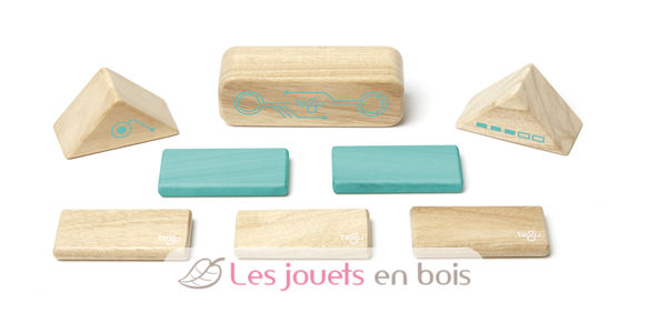 Magnetic wooden blocks Robo TG-RBO-TL1-405T Tegu 6