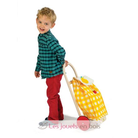 Pull Along Shopping Trolley TL8254 Tender Leaf Toys 2