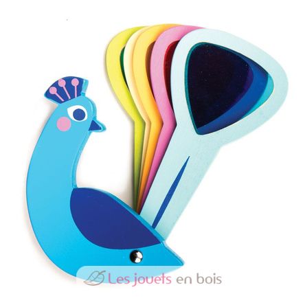 Peacock colours TL8338 Tender Leaf Toys 3