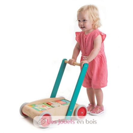 Baby Block Walker TL8464 Tender Leaf Toys 6