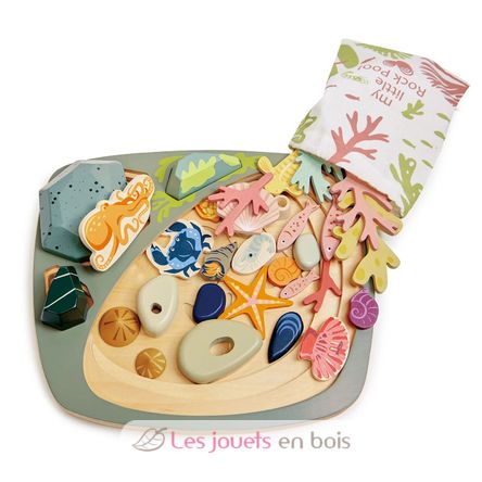 My Little Rock Pool TL8486 Tender Leaf Toys 3