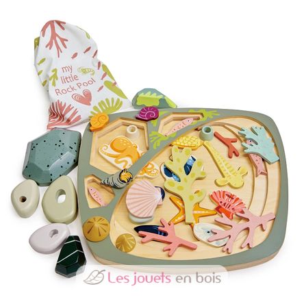 My Little Rock Pool TL8486 Tender Leaf Toys 4