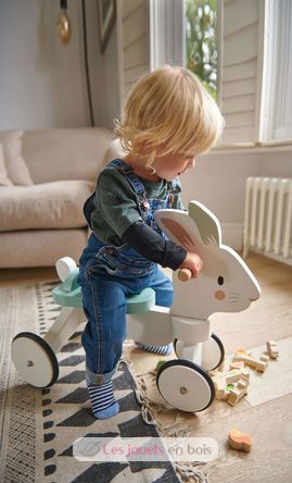 Running Rabbit Ride On TL8591 Tender Leaf Toys 4