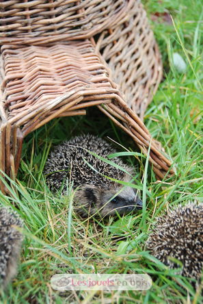 Hedgehog basket ED-WA06 Esschert Design 3