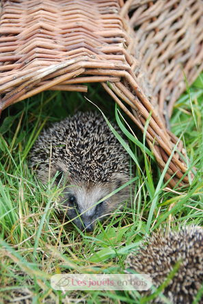 Hedgehog basket ED-WA06 Esschert Design 4