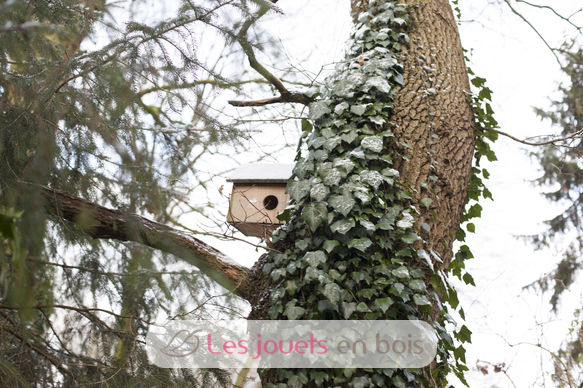 Squirrel house ED-WA10 Esschert Design 3