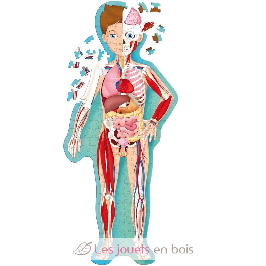 Travel, learn and explore - The human body - Sassi Junior - Book for child