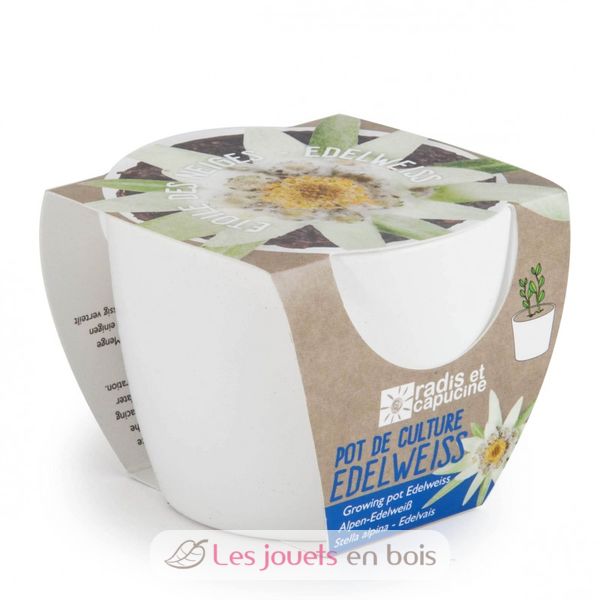 White ceramic pot 8 cm - Edelweiss - Planting kit for kids - Gardening kit