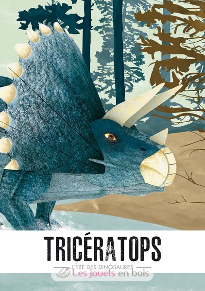 The Era Of The Dinosaurs Build A 3d Triceratops Sassi Junior Book For Child The Era Of The Dinosaurs Build A 3d Triceratops Sassi Junior Book For Child