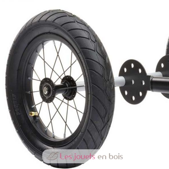 trybike trike
